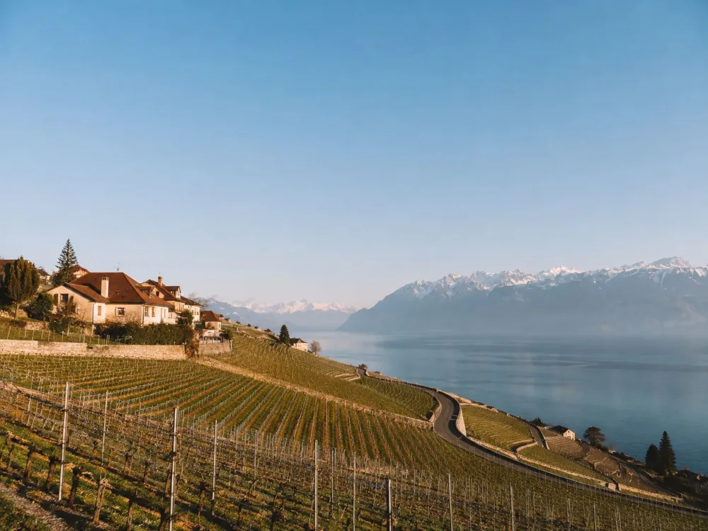 Produits du terroir et patrimoine régional